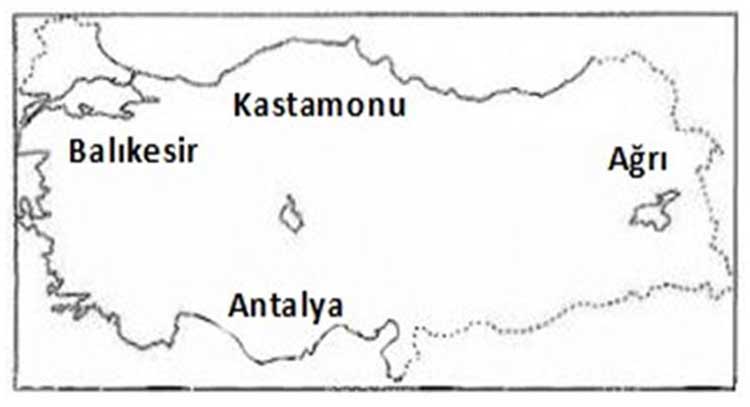 Yetişkinler 2 Kademe Okuma Yazma Kursu Sınav Soruları